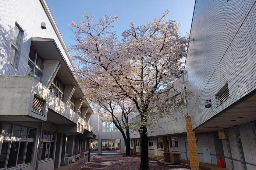 安全・防災